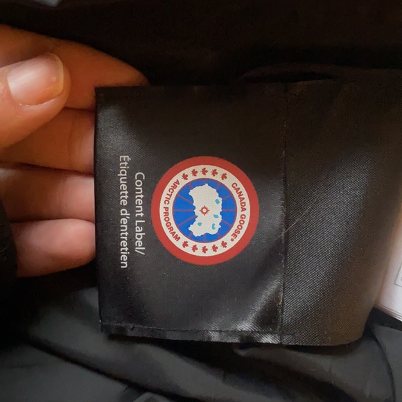 Canadian Goose - Picture 11 of 12